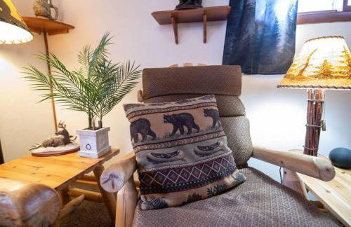 Black bear cabin with blow up hot tub - Foto 10