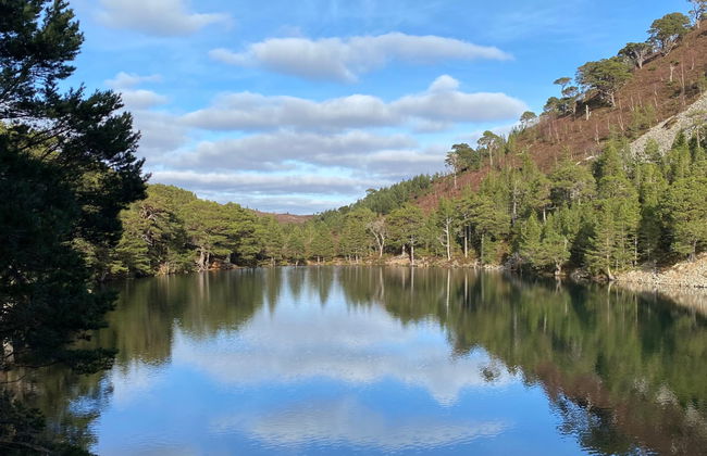 Lower Curr - Foto 38