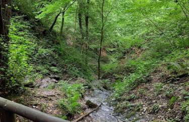 Fachwerk-Romantik 1 an der Mosel - Foto 23