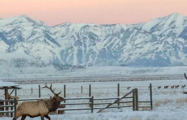 NEW! Elk Refuge Safari Chalet with Teton Views! - Foto 27