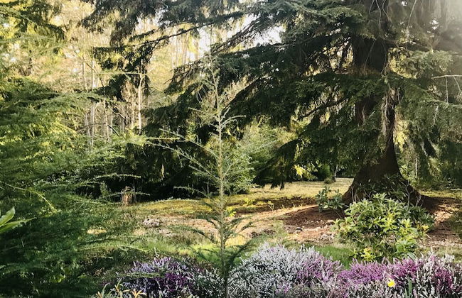 Blervie House - Foto 47