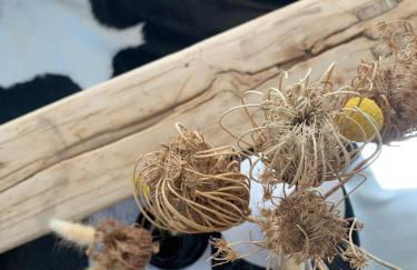 Nibelungen Odenwaldhaus - Foto 13