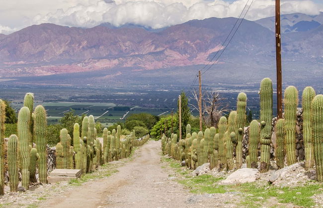 Excursión a Tafí del Valle - Foto 2