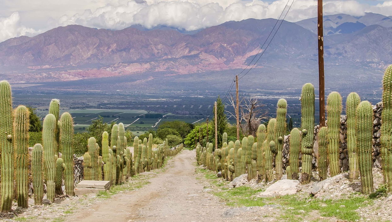 Excursión a Tafí del Valle