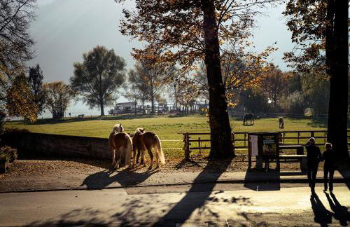 Ferienwohnung Glaserhäusl Seeblick - Foto 13