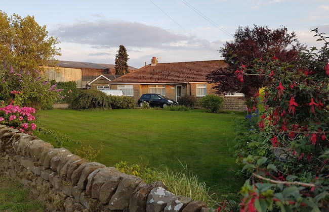 Woodpeckers Cottage - Photo 21