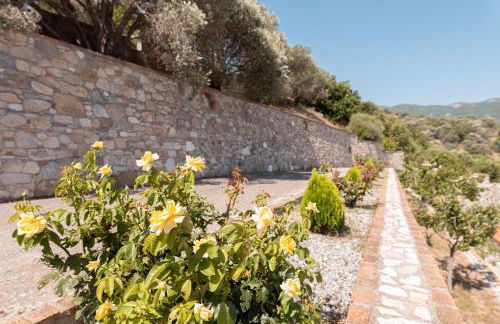 Villa Vicky - Foto 12