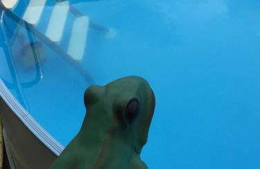 Ferienwohnung „Kleine Liebe“ - Photo 24