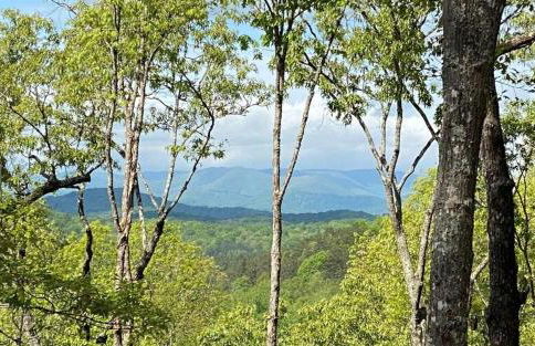 Mountain Hideaway with Hot Tub & Fire Pit - Foto 28