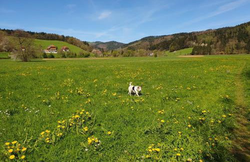 Ferienwohnung am Siegelbächle - Foto 9