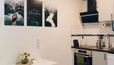 Neuwertiges Apartment mit Kostenlose Privatparkplatz auch für Transporter geeignet R1 - Foto 5, stove