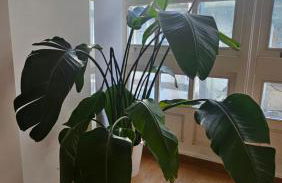 Vivienda en el centro de la ciudad - Foto 34