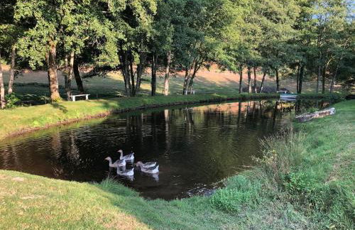 Très beau gîte à proximité du Lac de Vassivière - Foto 15