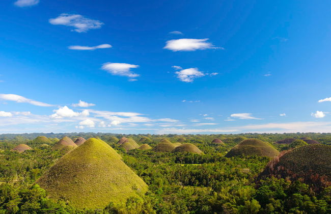 Découvrez Bohol - Visite Privée - Photo 4