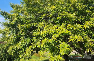 LE HAVRE D'ATHENA - Grand appart, jardin privé, abri vélos & accès rapide A61 - Foto 46