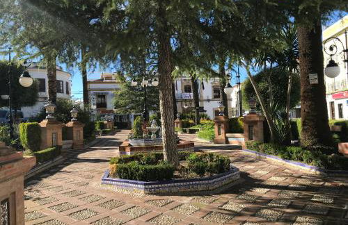 Calle Valenzuela 9 La Rambla - Foto 46