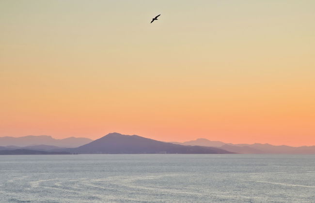 VVF Résidence Anglet - Foto 68