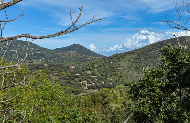 Mezzo Ortano - Foto 34