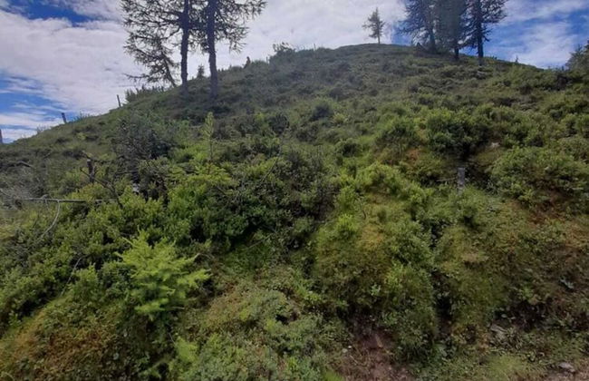 Sunny Apartment in Wagrain - Foto 24