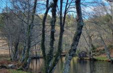 Quinta da Canda - Foto 26