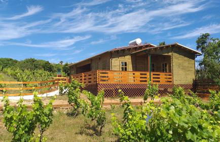 casa entre praias - Foto 16