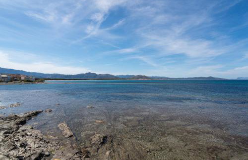 Tasa tiago - Foto 29