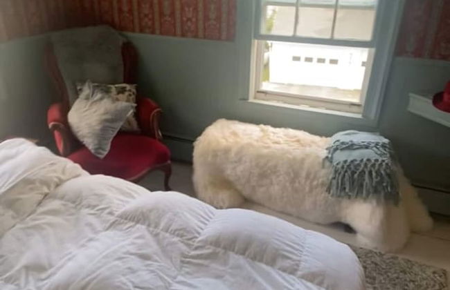 1812 Pierce House - Foto 10