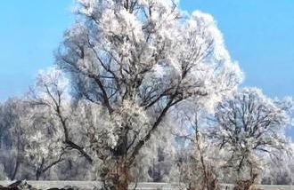 Ferienwohnung Stefanie - Foto 29