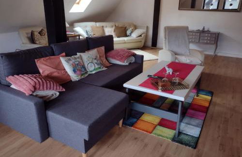 Olifant in Osterode - Foto 20