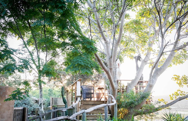 Emily Moon River Lodge - Foto 72