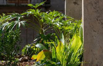 3 Bedrooms Old Town Secret Gem with Private Garden - Foto 67