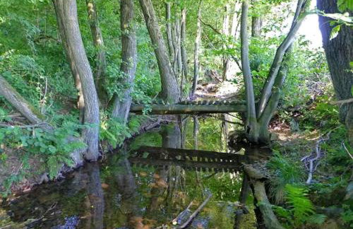 Spacious Farmhouse in Friedrichsfeld near Forest - Foto 50