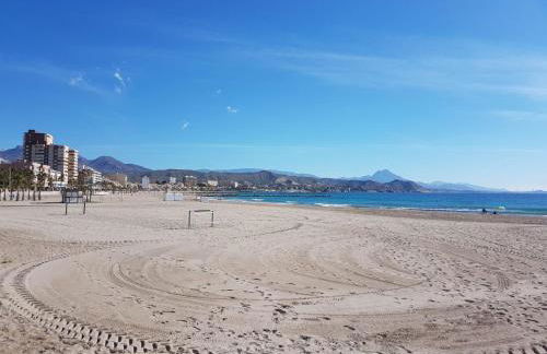 Jardin del Mar Playa Muchavista - El Campello - Alicante - Photo 38