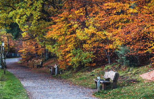 Brampton Holiday Homes - Beckside Apartment - Foto 15