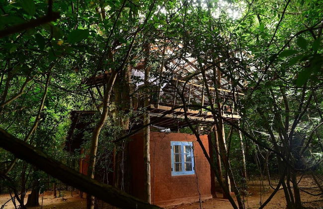 Back of Beyond - Pidurangala - Photo 26