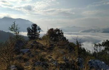 Principe di Napoli - Foto 30