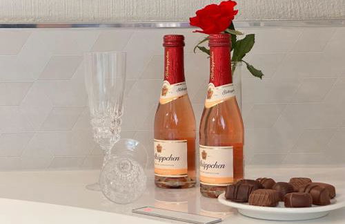 55 qm Apartment mit Whirlpool Saarbrücker Uni Nähe - Foto 31