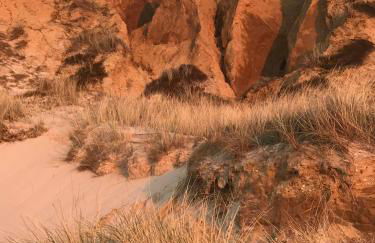 Ferienwohnung-Weidenstieg-OG - Foto 25