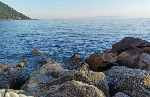 Casa Franca - Apartment in the countryside with garden - Foto 52