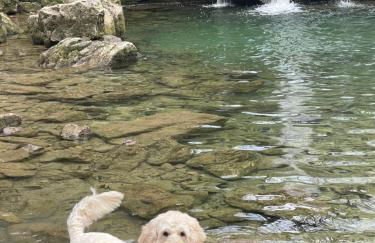 Prior Hall Farm Cottage - 3 bedroom luxury cottage in center of Malham - Foto 24