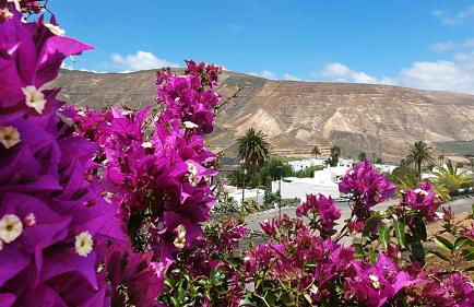 Holiday house Casa Mariposa in Tabayesco - Foto 40