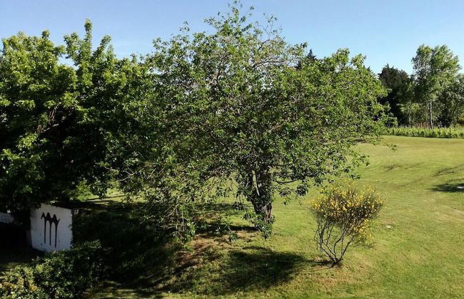 Agriturismo Morattina - Foto 31