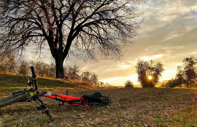 Il Querceto - B&B e Appartamenti Vacanze - Foto 48