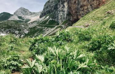 Appartamento - Cave del Predil - Photo 32