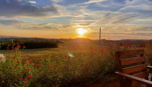 Apartamentos Casa Reconco - Foto 4