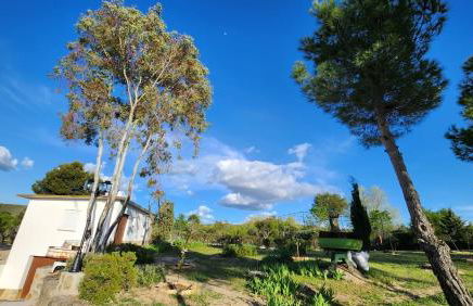 Agroturismo Viña Inés Toledo - Photo 53