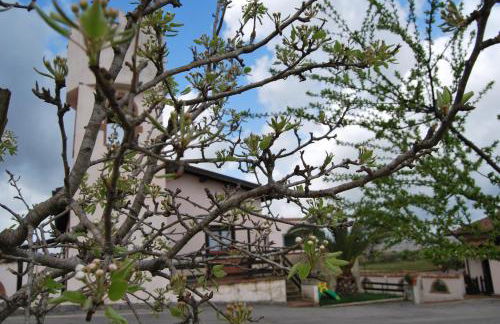 Agriturismo Torre Cristina - Foto 26