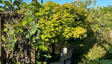 Am Himmelreich - Foto 3