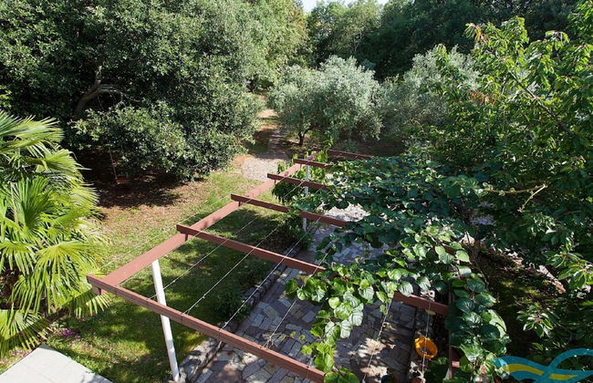 Nice Apartment With Terrace & Grill - Foto 8