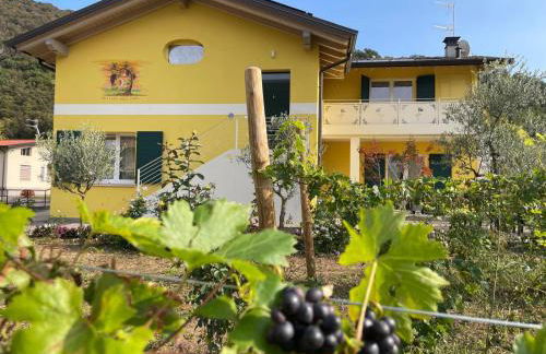 Sole e Luna nella Vigna - Foto 1